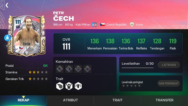 Petr Cech OVR 111