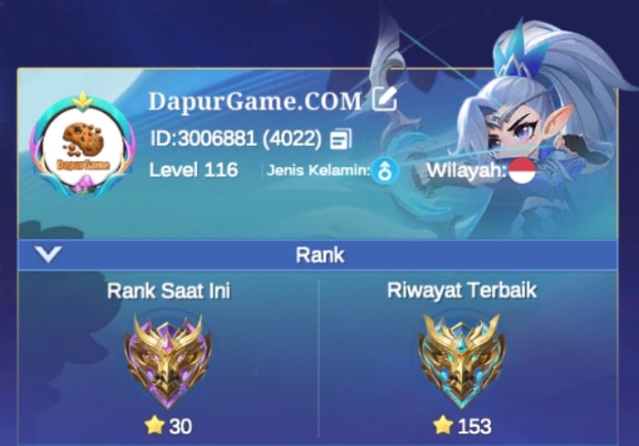 Contoh ID Magic Chess: Go Go