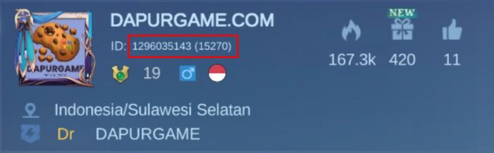 Contoh ID Mobile Legends