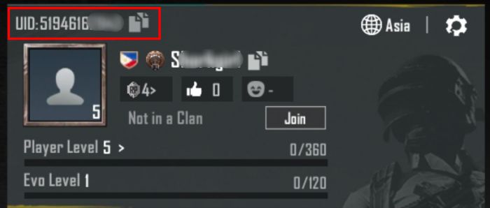 Contoh ID PUBG Mobile
